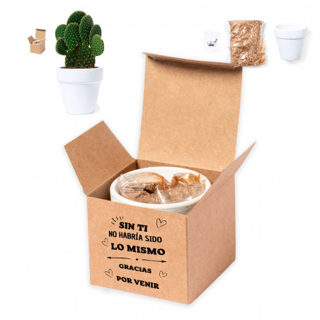 Maceta terracota con semillas de cactus en caja personalizada para detalles