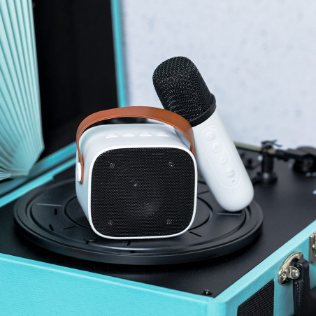 Altavoz karaoke con micrófono inalámbrico