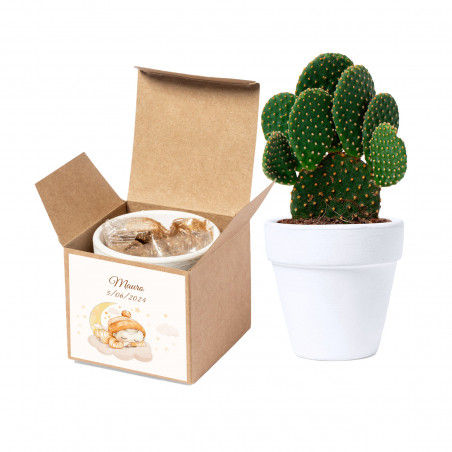 Maceta con semillas de cactus en caja personalizada para bautizos