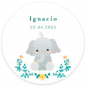 Hucha de elefante con adhesivo personalizable para detalles bautizo